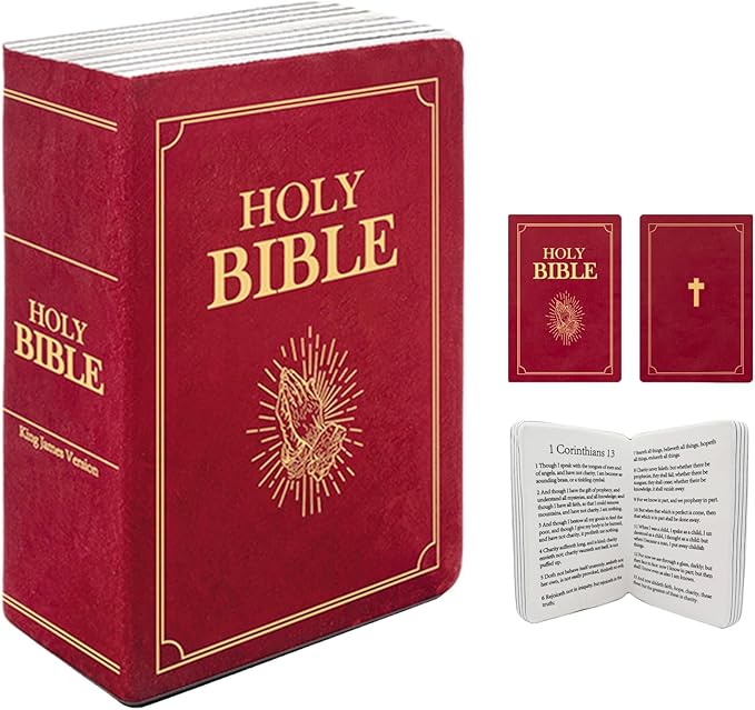 The Holy Bible Pillow Plush - Book Shape, Openable, Cozy